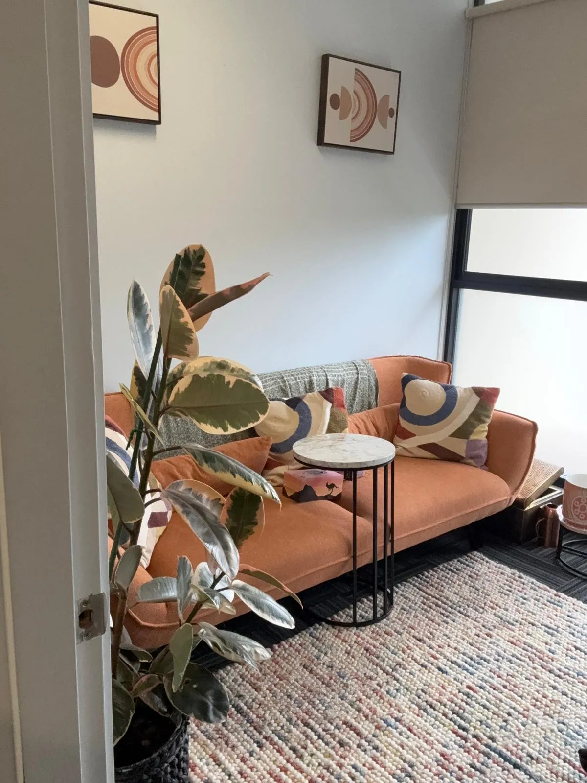 The therapy room — terracotta couch with patterned cushions, rubber plant, and woven rug